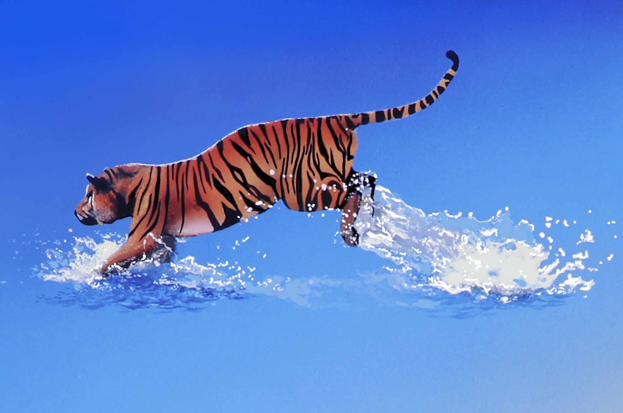 Tiger 2 detail.jpg