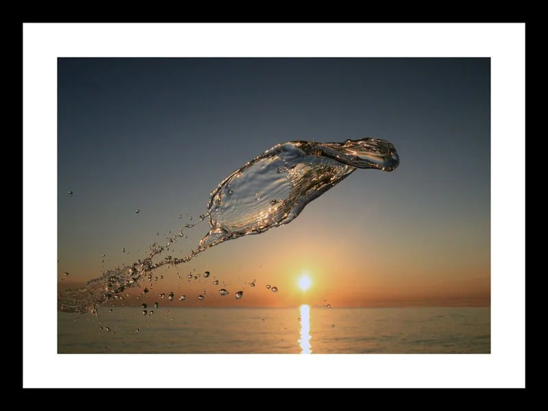 WATER-COBRA-18-X-24-SMALL.jpg