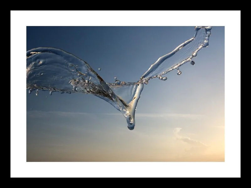 Water-Wing1-small-18 x24-Frame.jpg