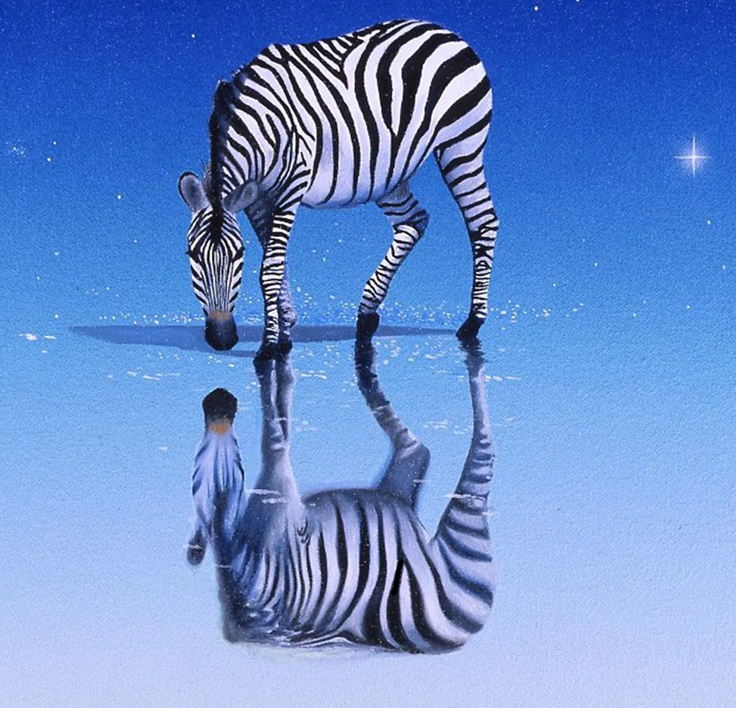 ZEBRAS 40 X 40 CORRECTED copy 3.jpg
