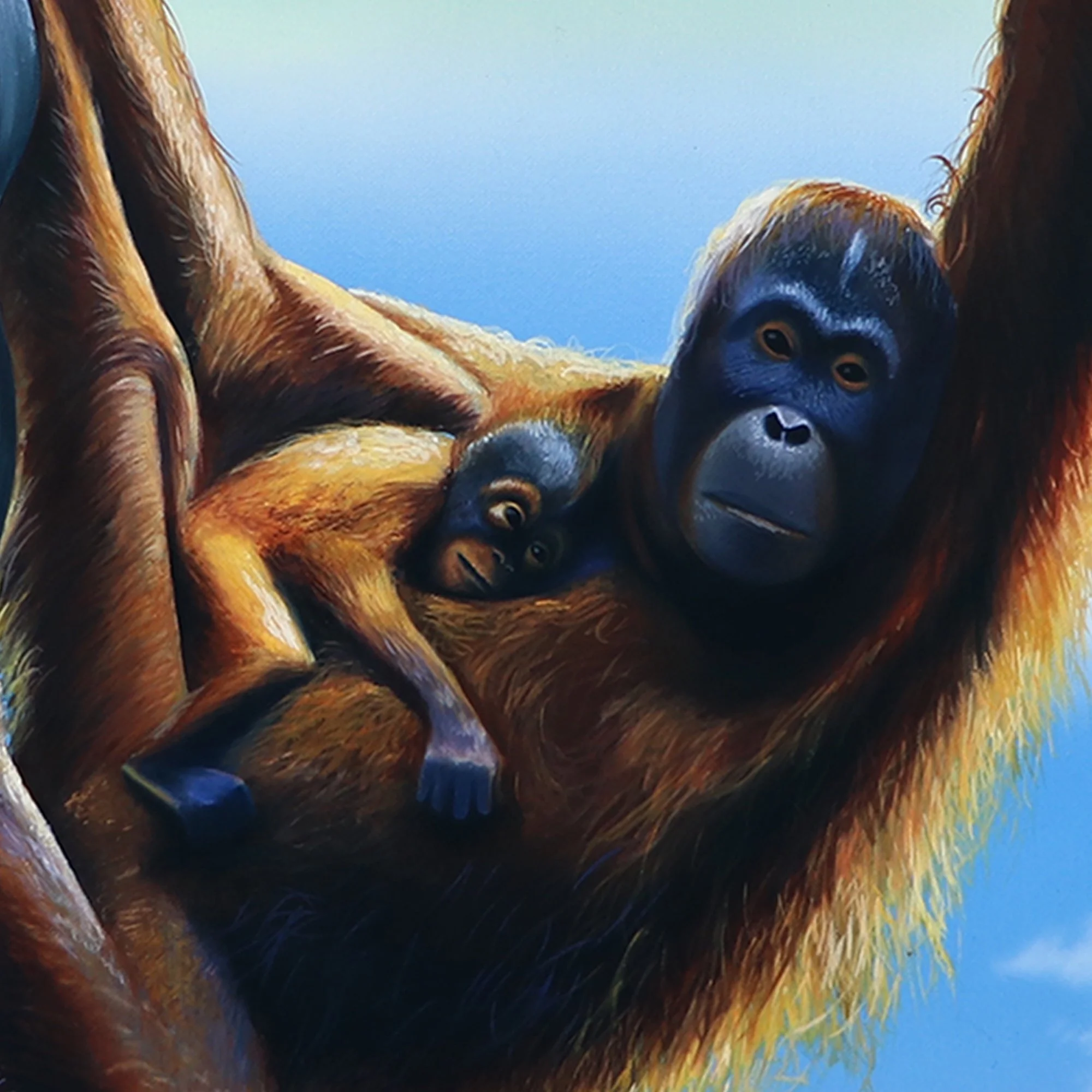 ORANGUTAN DETAIL copy.jpg