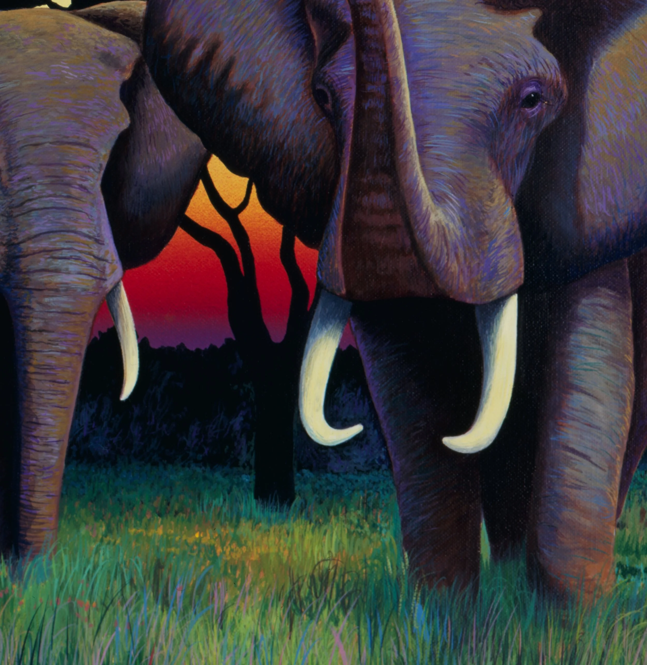 LAST TUSK detail 2.jpg