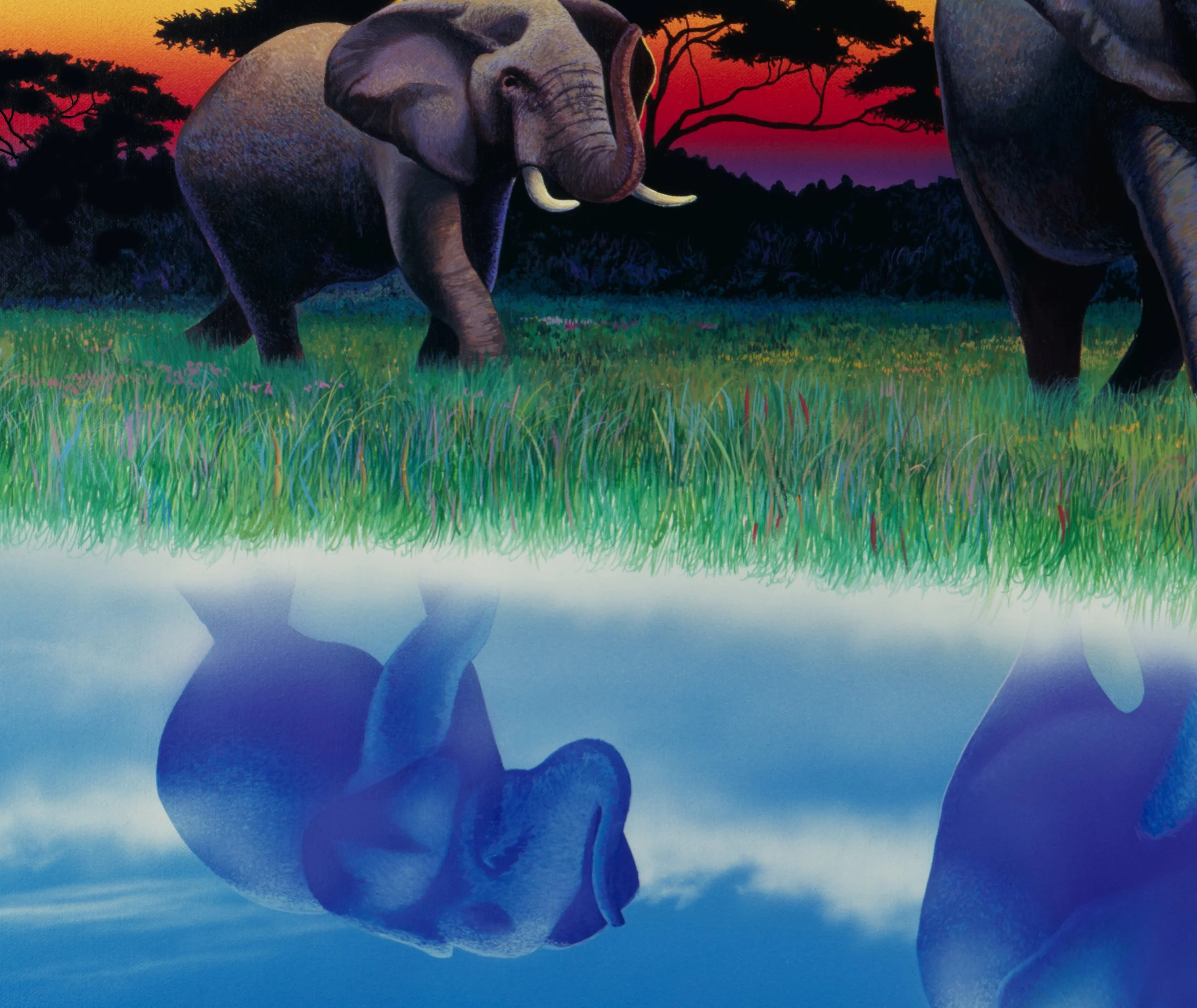LAST TUSK detail 1.jpg