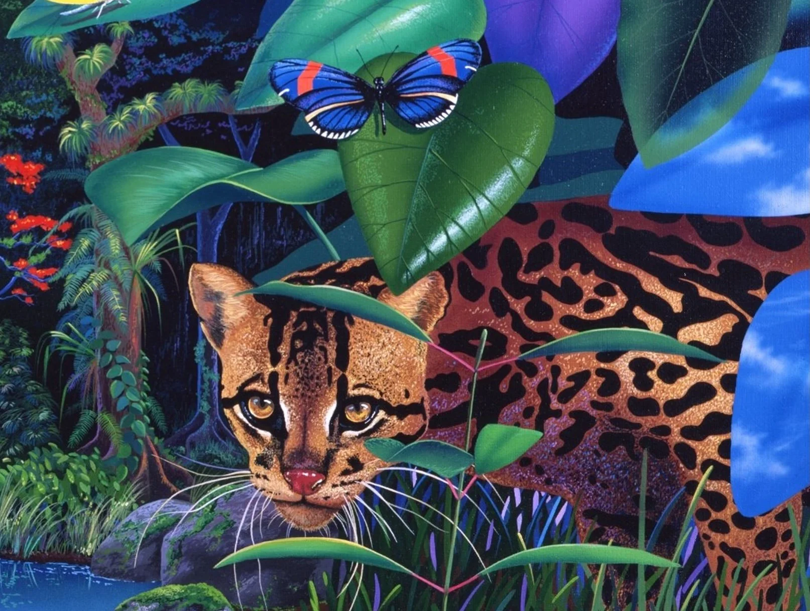 OCELOT backup copy 2.jpg