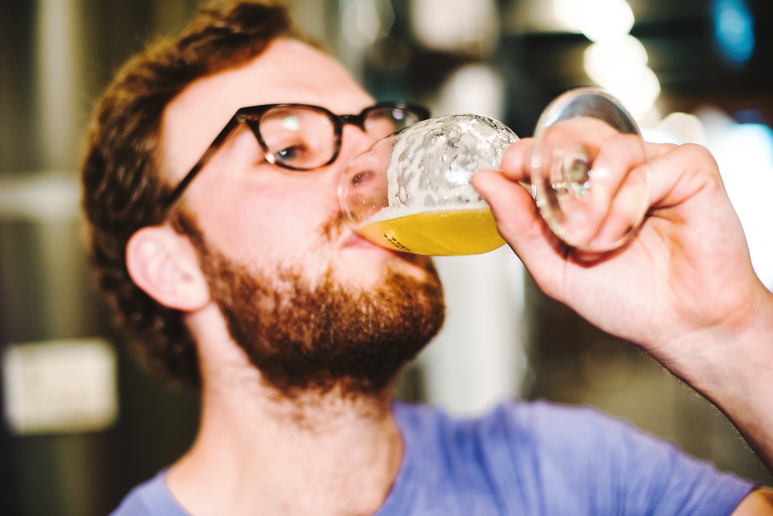 5 Borough Brewing