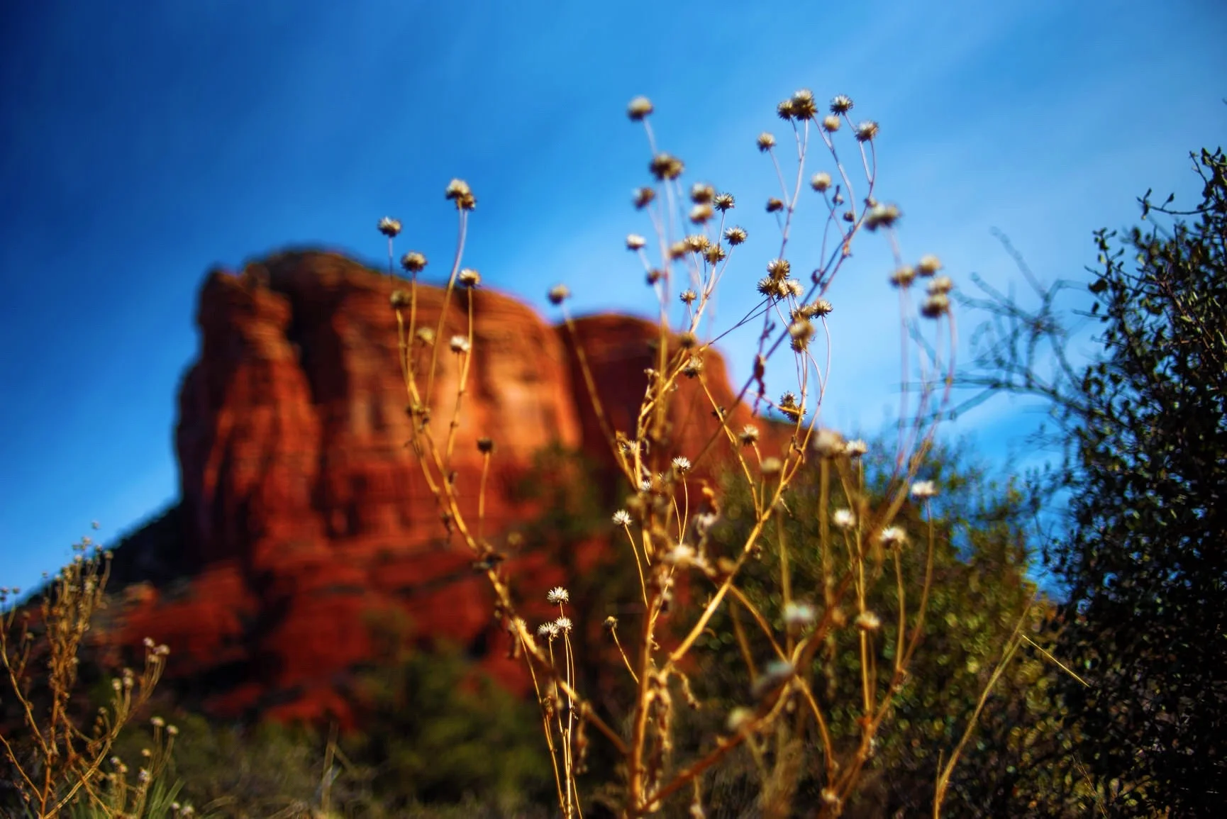 Arizona - January, 2019