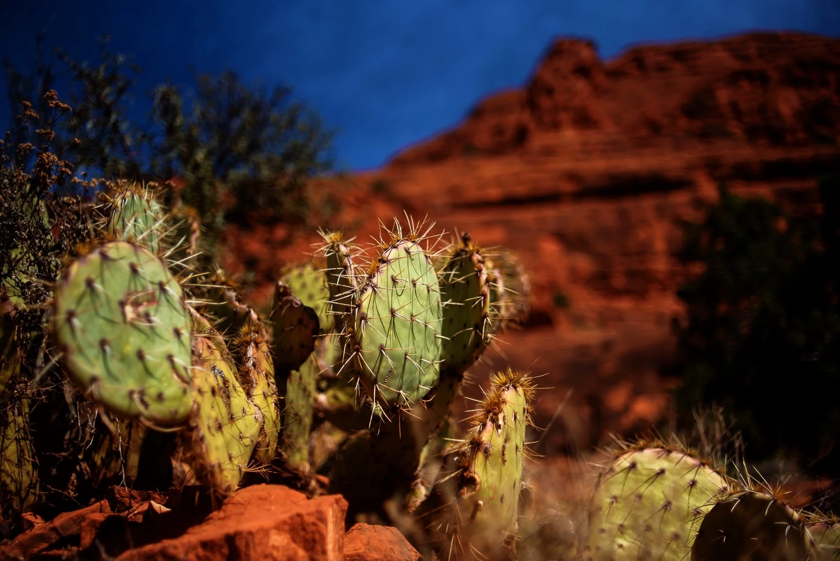 Arizona - January, 2019