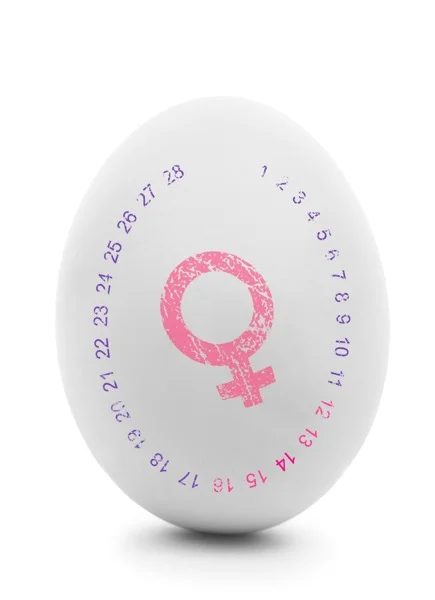 egg-with-date.jpg