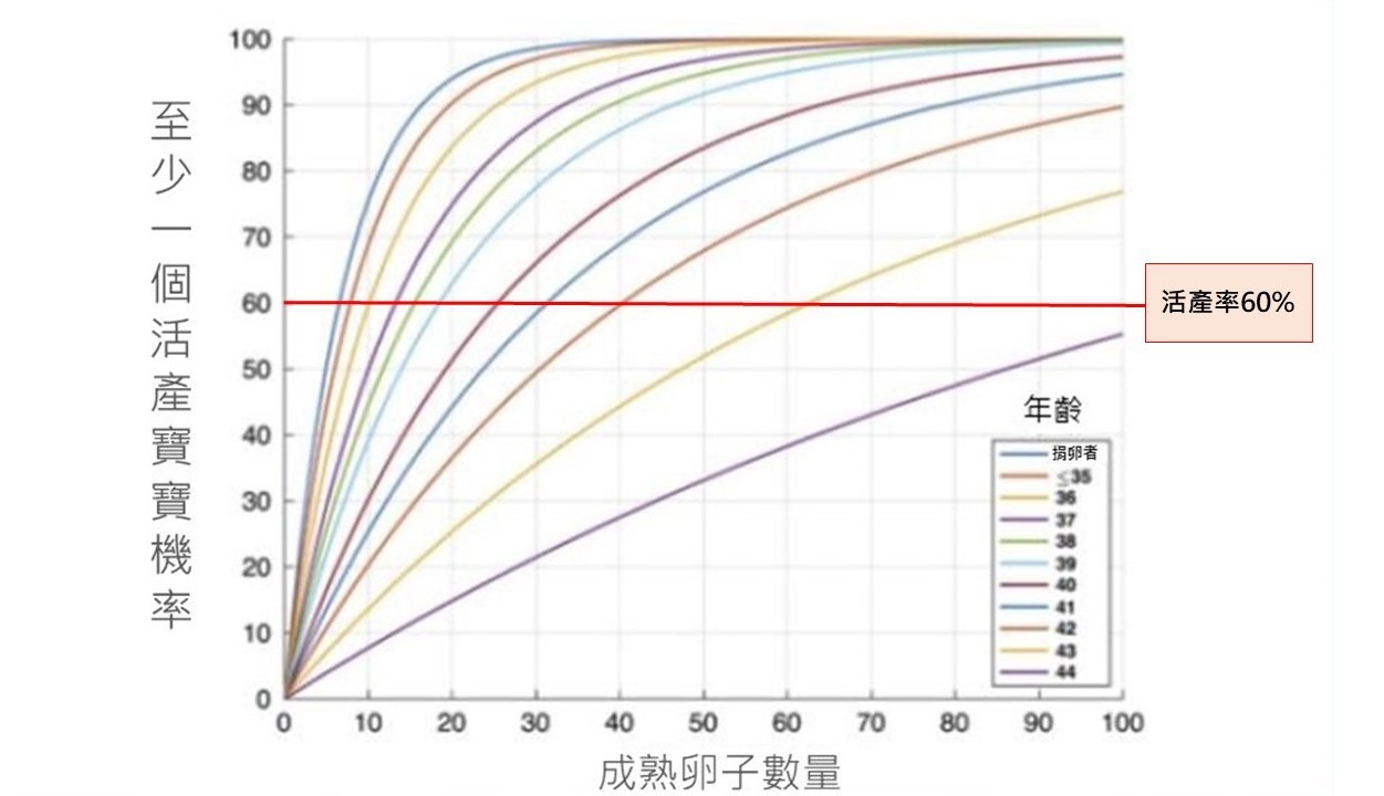 190418最終用圖加字3-1.jpg