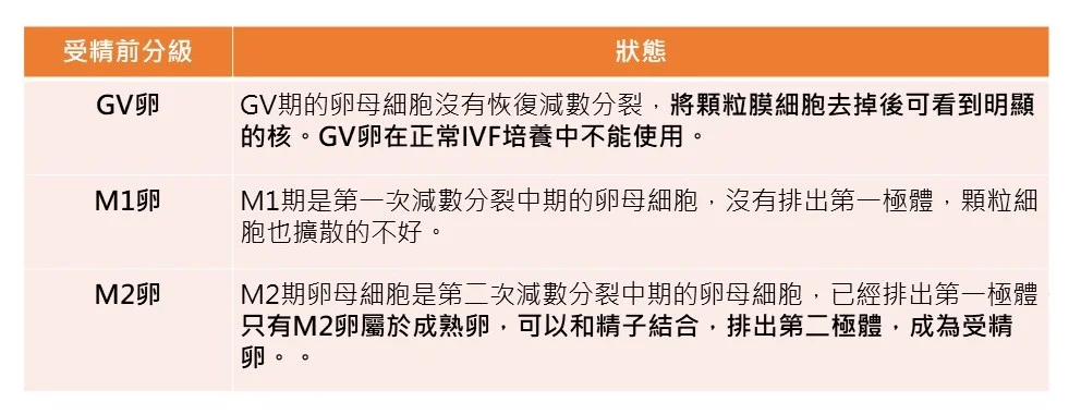190711用表1.jpg