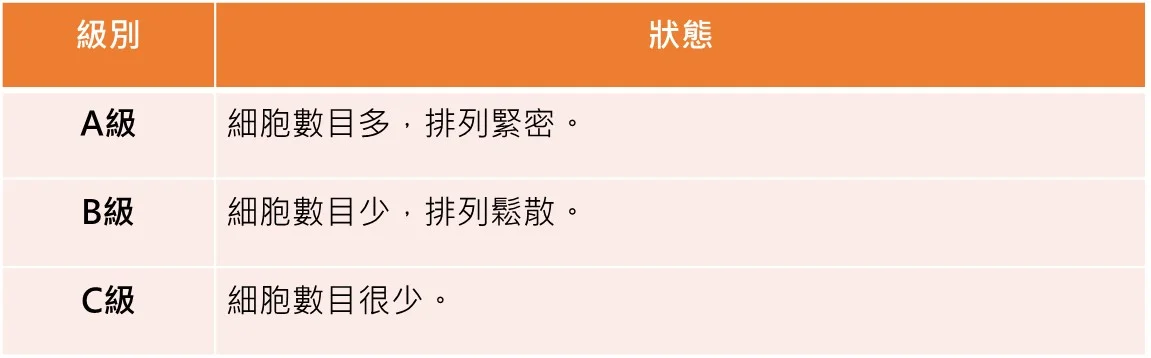190718用表2.jpg