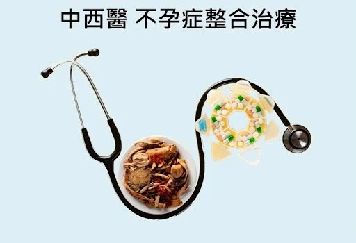 成功懷孕的機會：中西醫不孕症整合治療