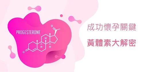 成功懷孕關鍵-黃體素大解密