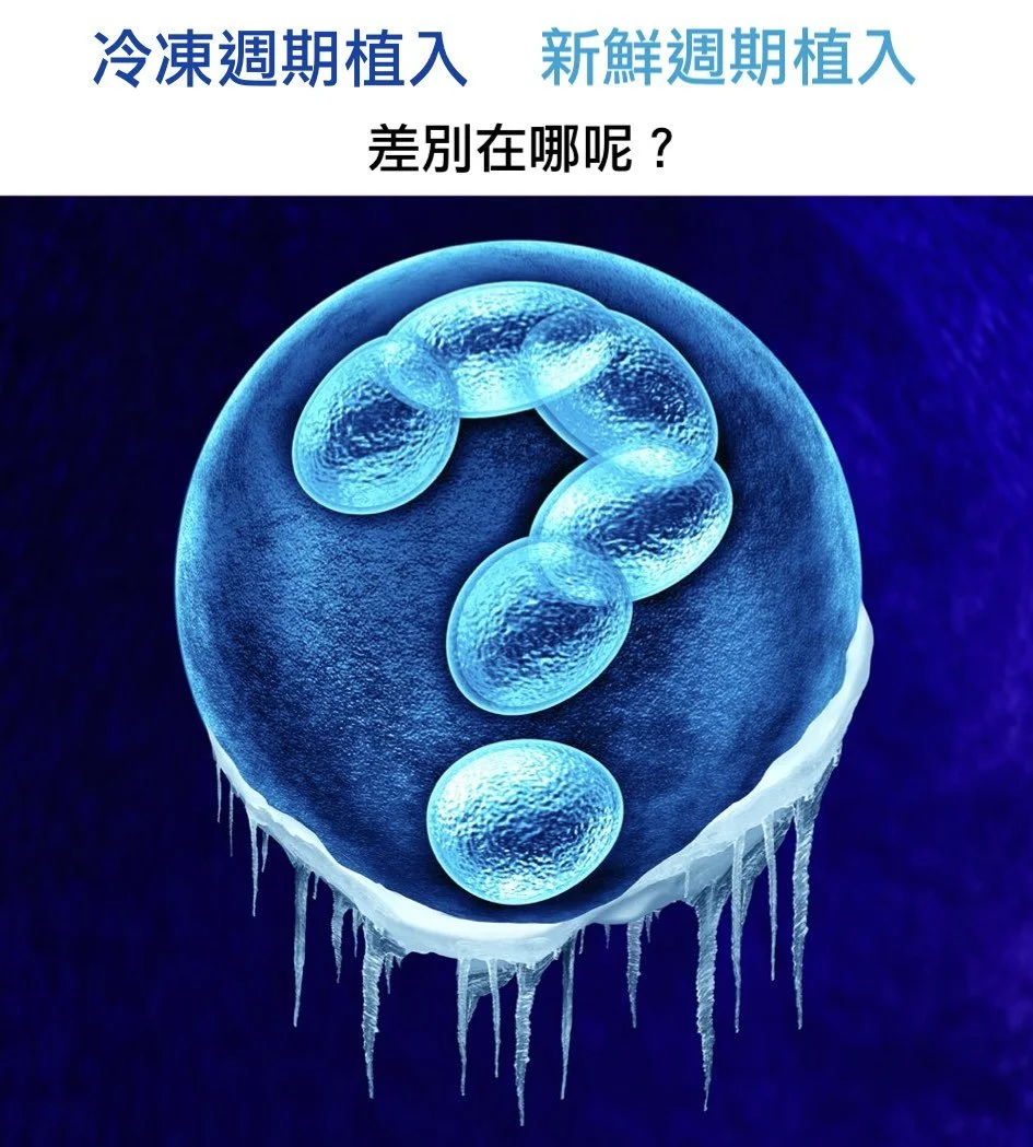 植入新鮮或冷凍胚胎有何差別？