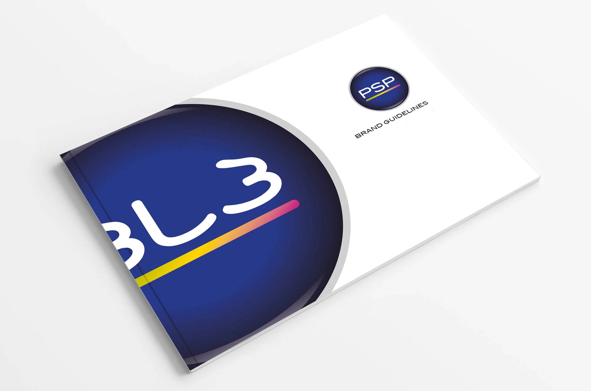 PSP_brandguidelines.jpg