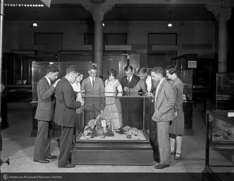 Students visiting the American Museum of Natural History in 1927. Copyright the American Museum of Natural History, from http://lbry-web-007.amnh.org/digital/index.php/items/show/22455 .
