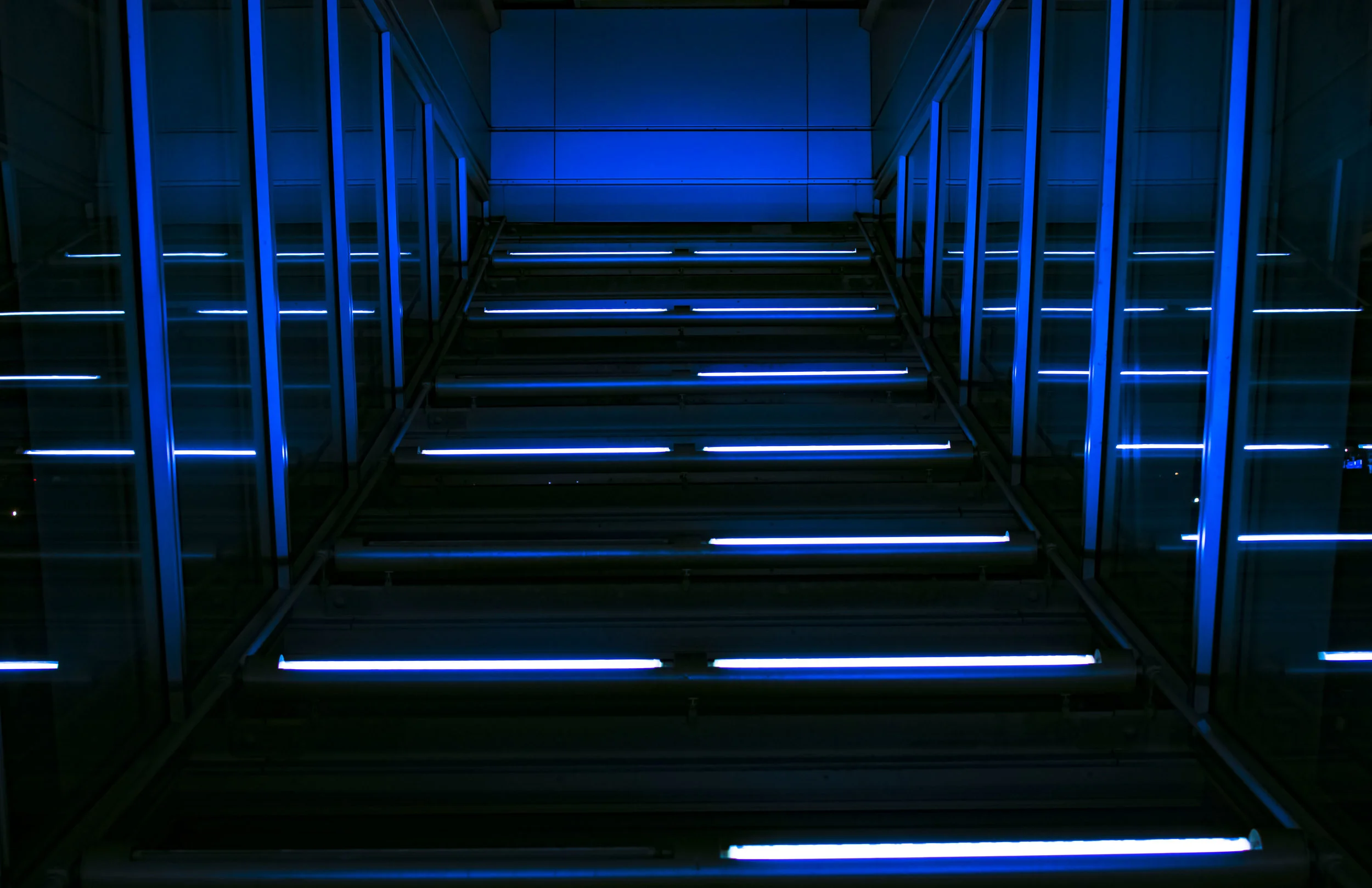 Chamber of Reflection.jpg