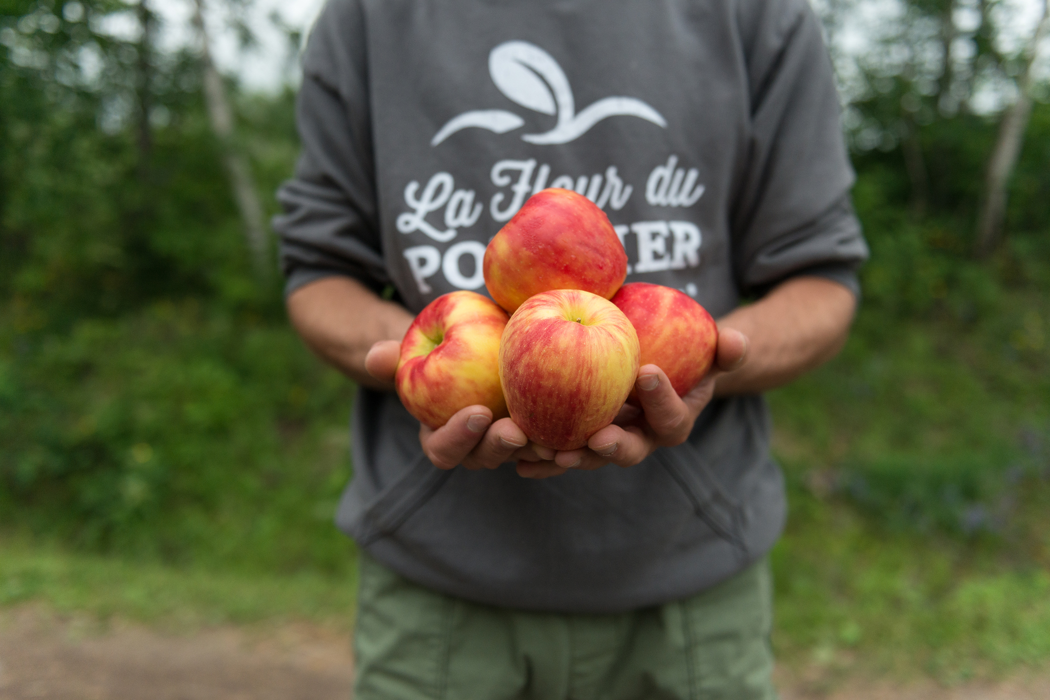 La Fleur du Pommier - Récolte de Chez Nous - Really Local Harvest