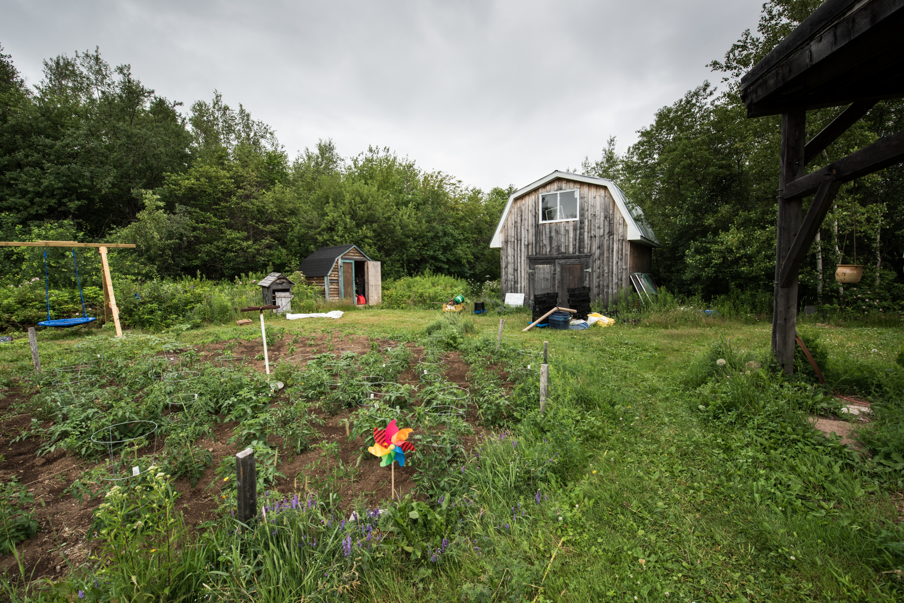 Les Jardins vert l'avenir - Récolte de Chez Nous - Really Local Harvest