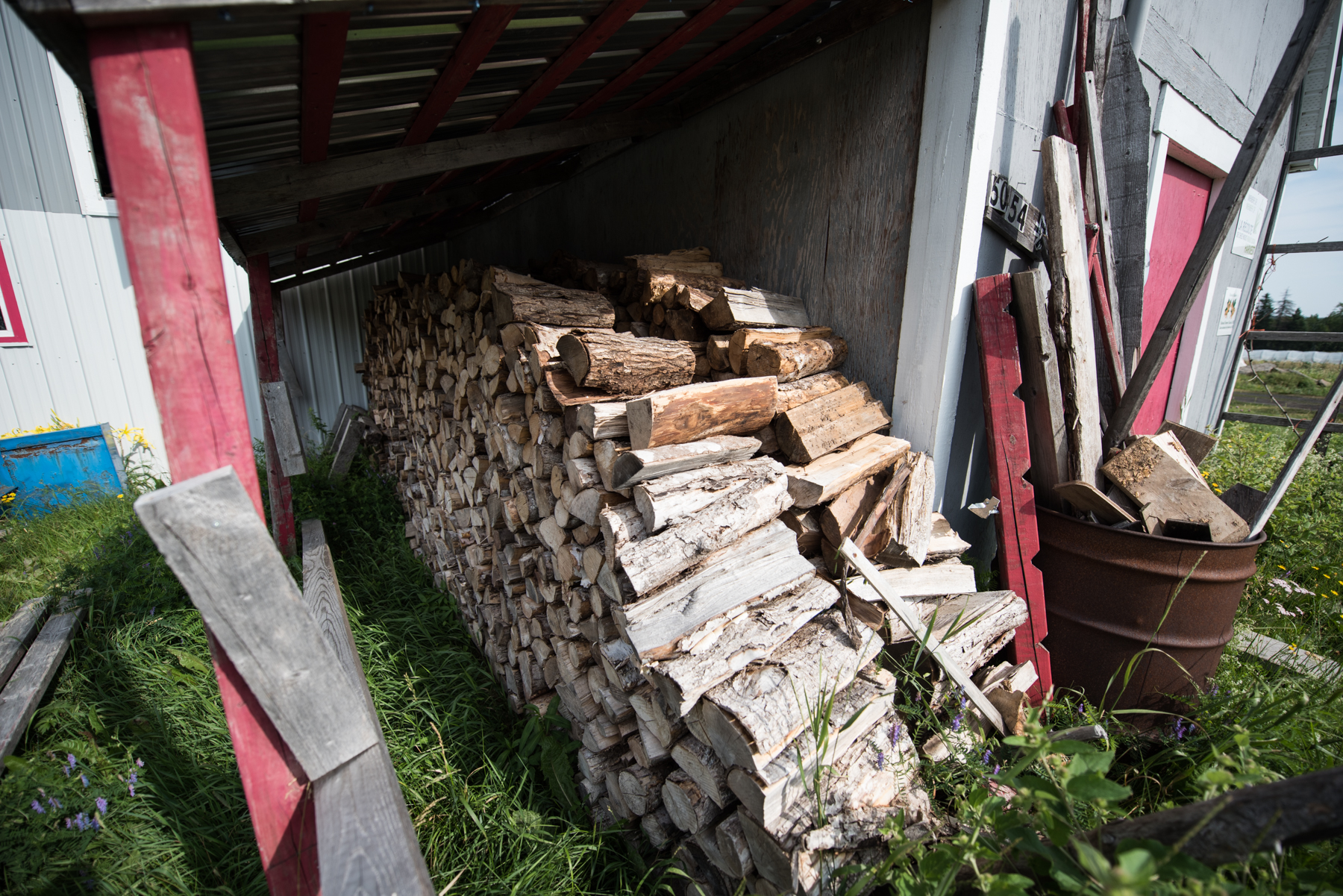 Windy Hill Farm - Récolte de Chez Nous - Really Local Harvest