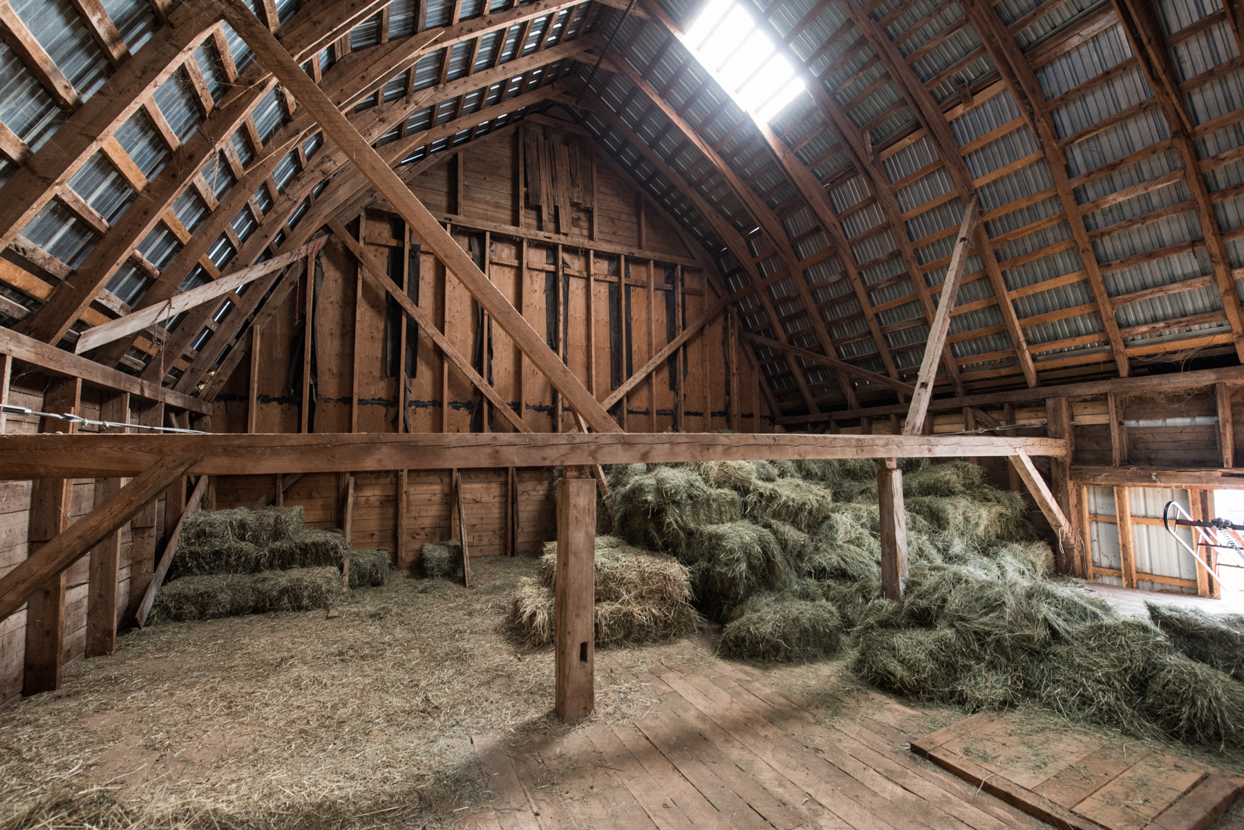 Windy Hill Farm - Récolte de Chez Nous - Really Local Harvest