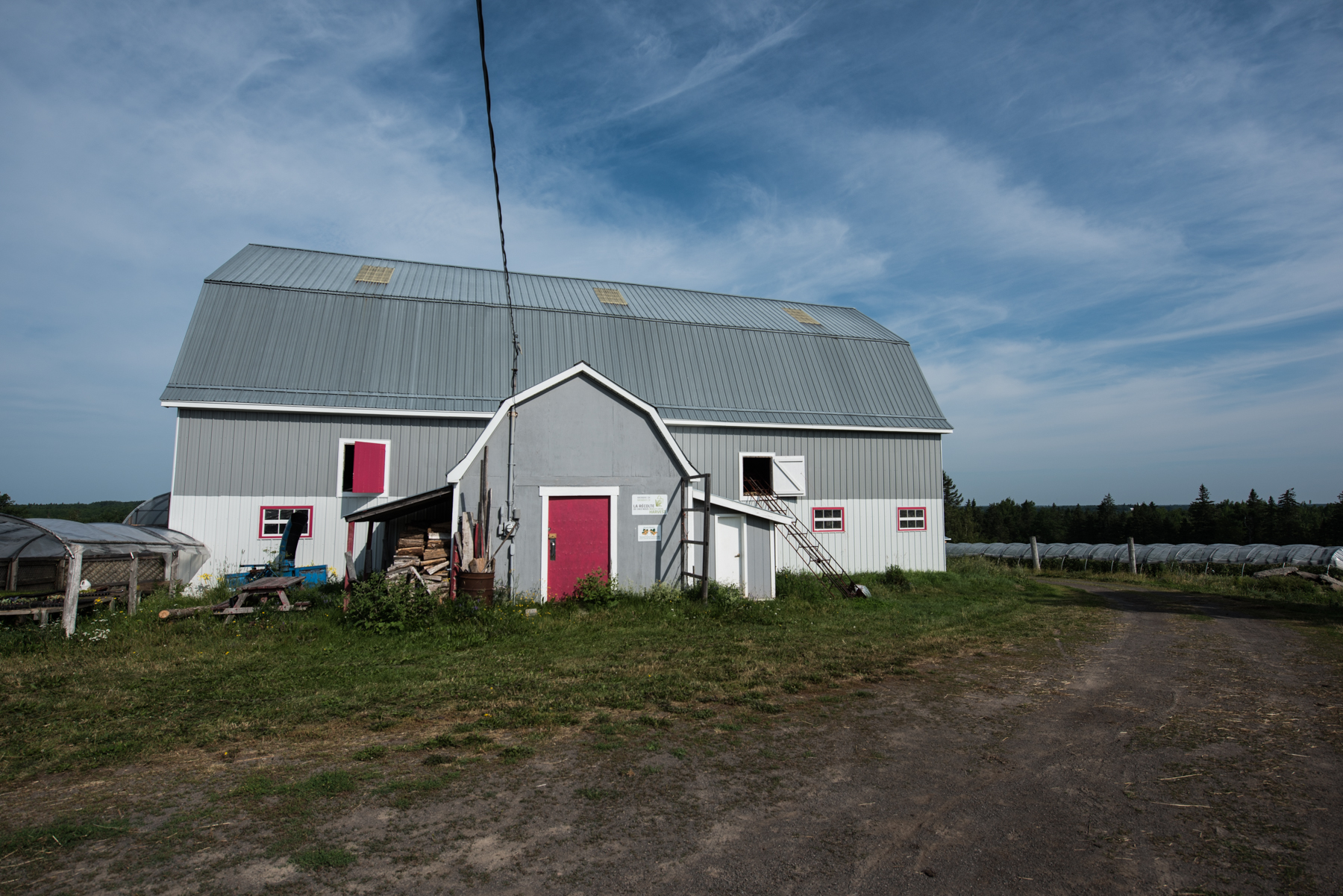 Windy Hill Farm - Récolte de Chez Nous - Really Local Harvest