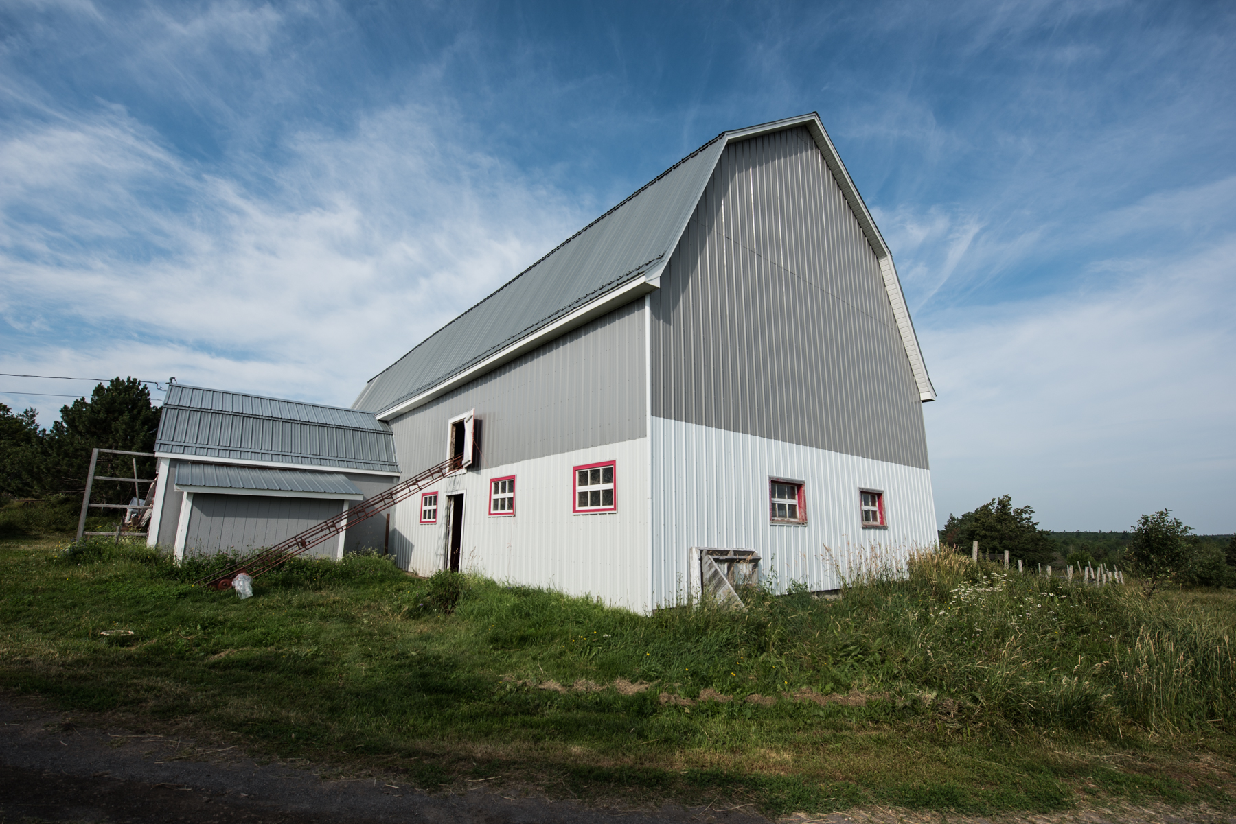 Copy of Windy Hill Farm - Récolte de Chez Nous - Really Local Harvest