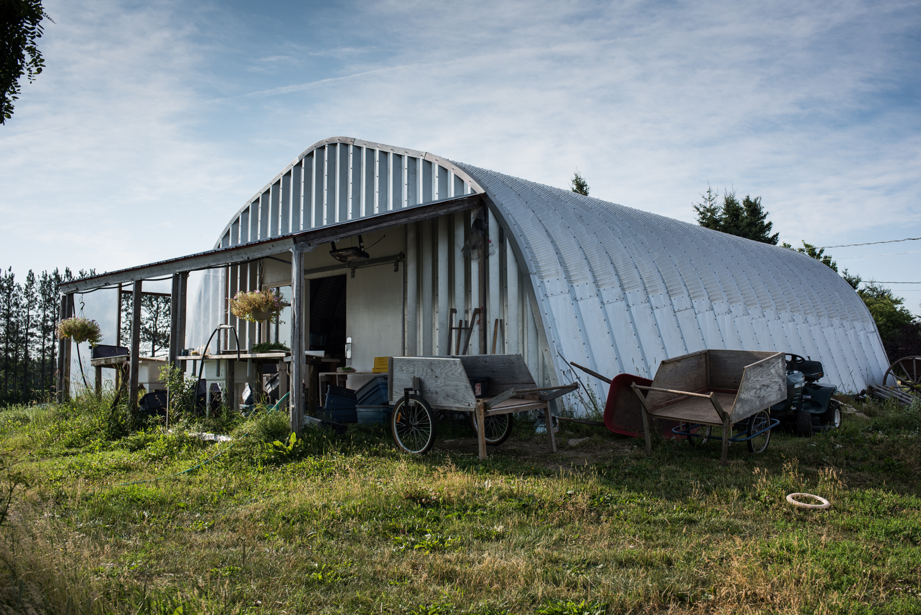 Windy Hill Farm - Récolte de Chez Nous - Really Local Harvest