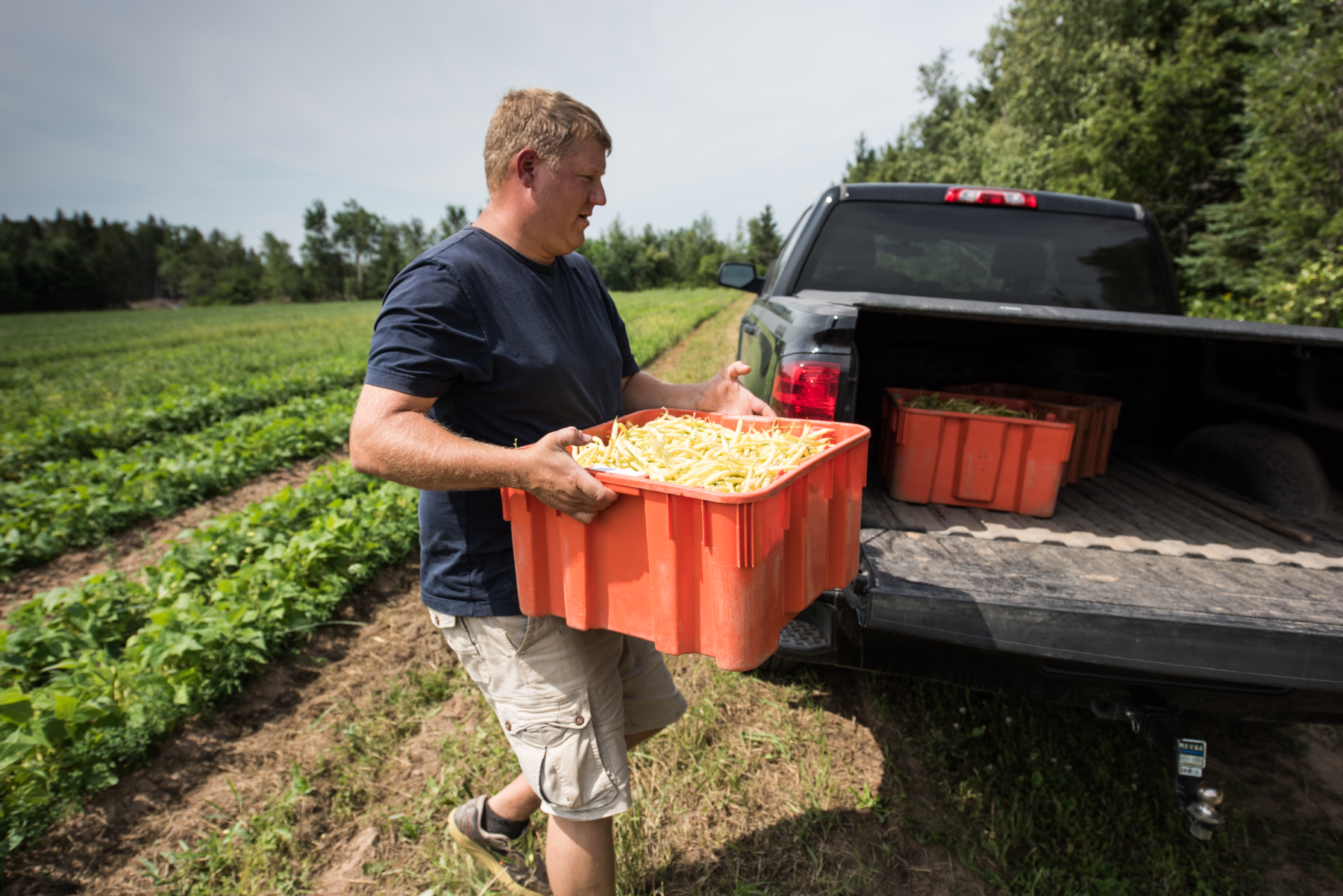 Les Digues - Récolte de Chez Nous - Really Local Harvest