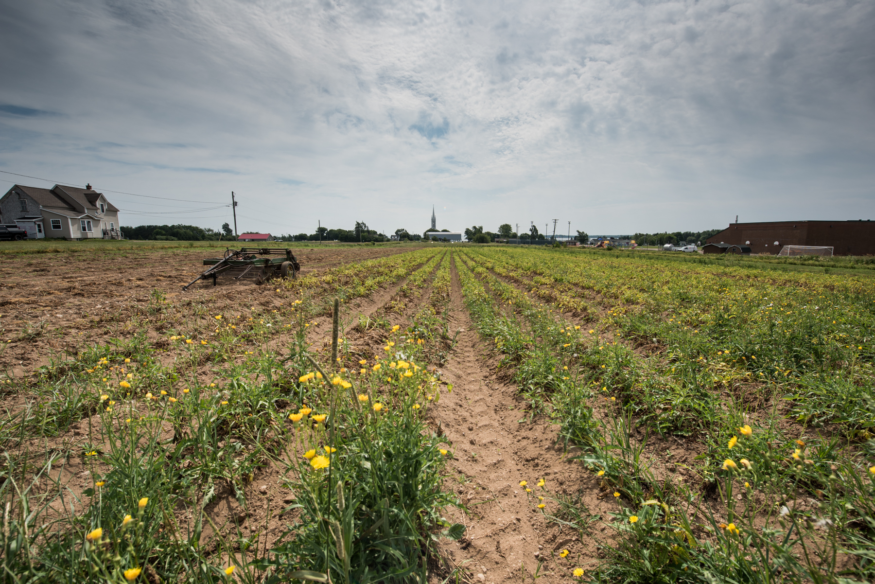 Les Digues - Récolte de Chez Nous - Really Local Harvest