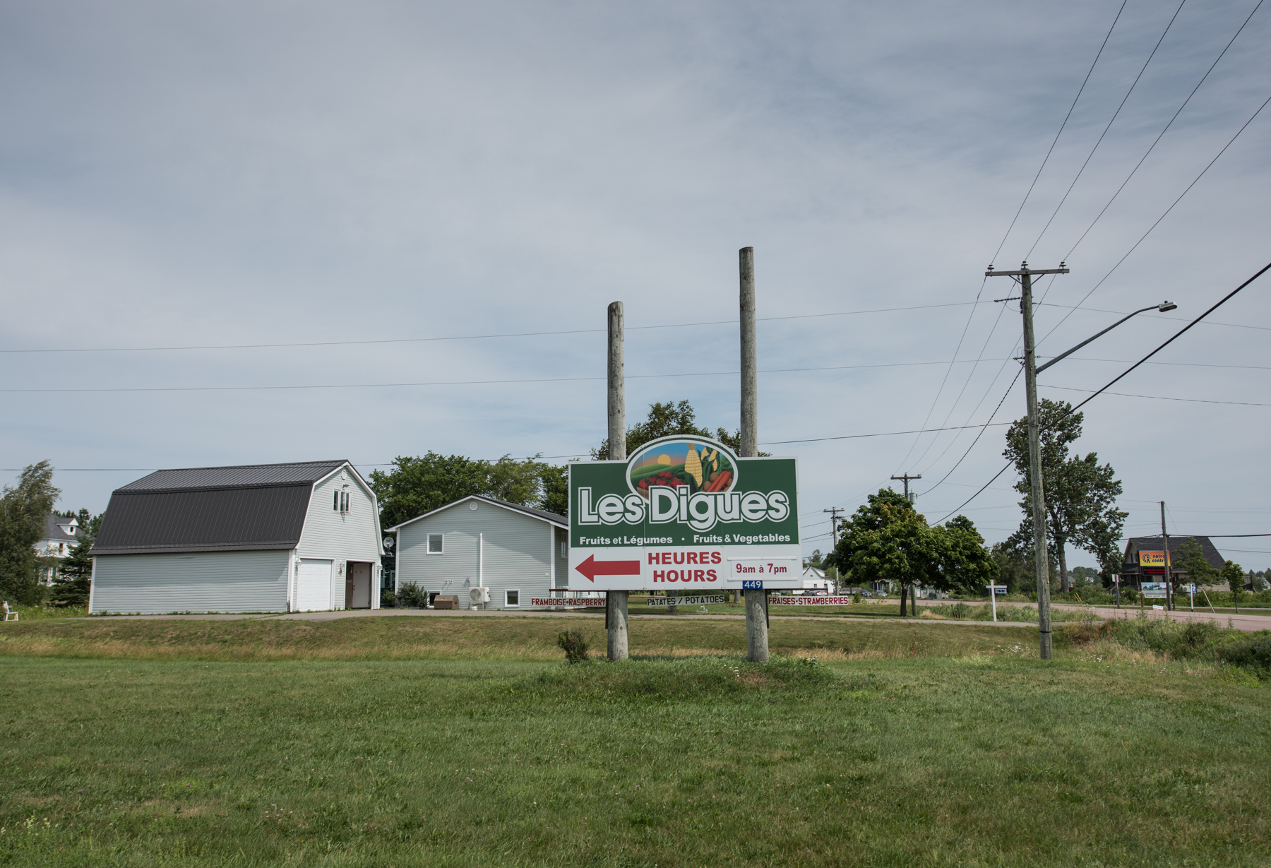 Les Digues - Récolte de Chez Nous - Really Local Harvest