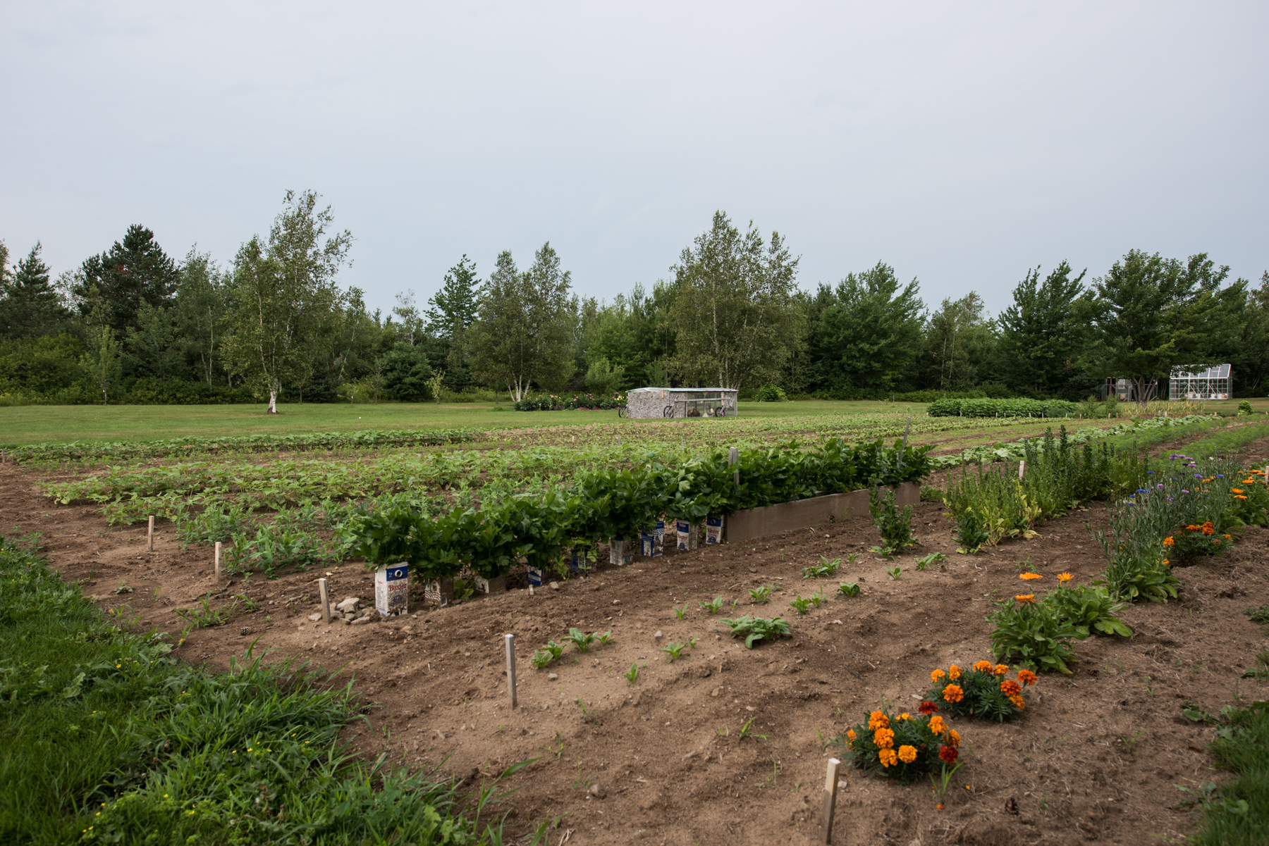 Les 3 Poiriers - Récolte de Chez Nous - Really Local Harvest