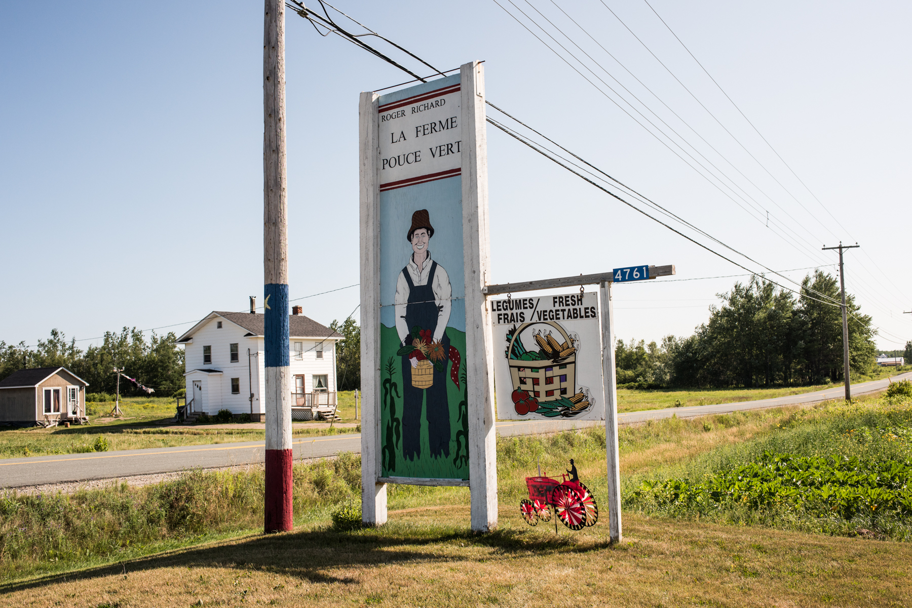 Copy of La Ferme Pouce Vert - Green Thumb Farm  - Récolte de Chez Nous - Really Local Harvest