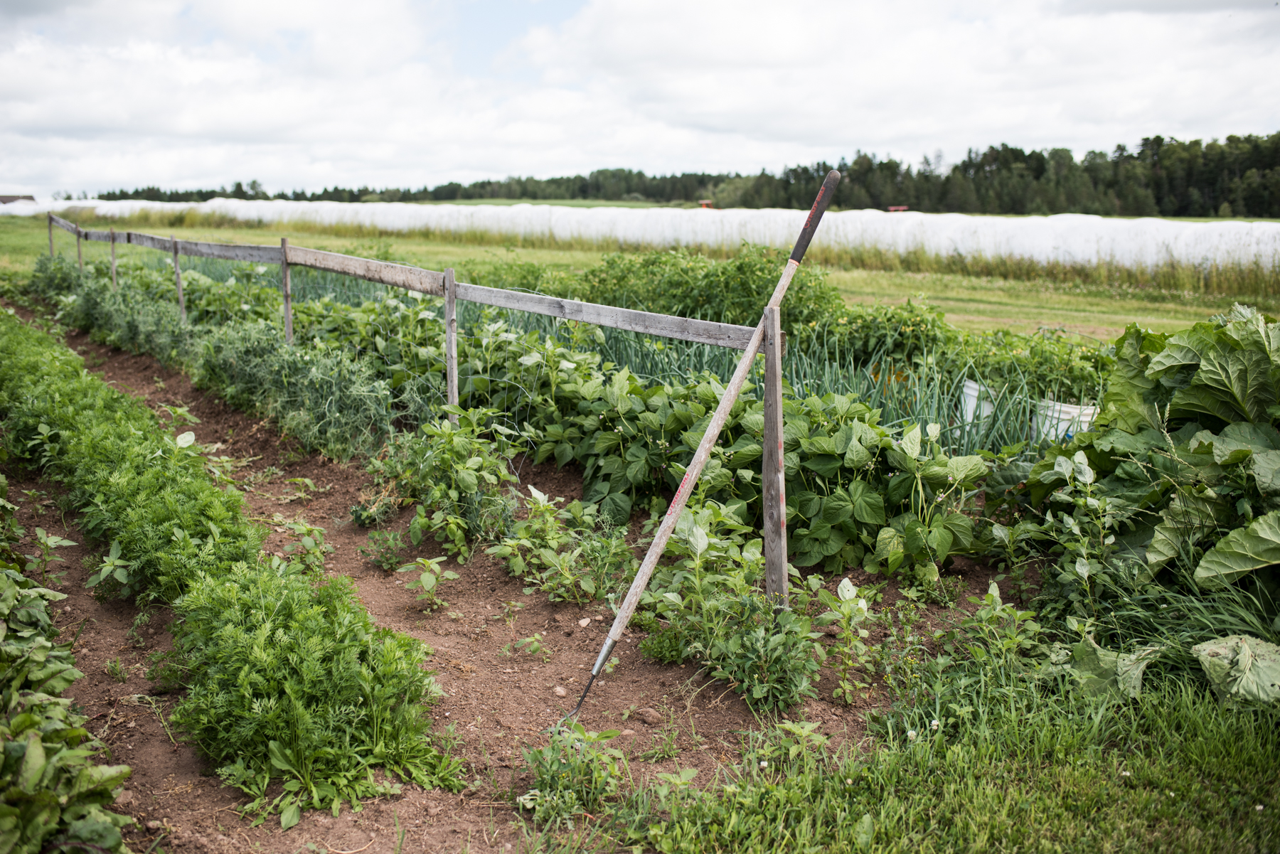 Boudreau Meats - Récolte de Chez Nous - Really Local Harvest