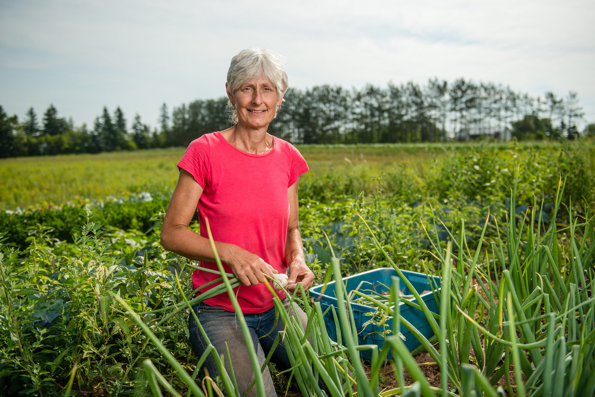 Copy of Windy Hill Farm - Récolte de Chez Nous - Really Local Harvest