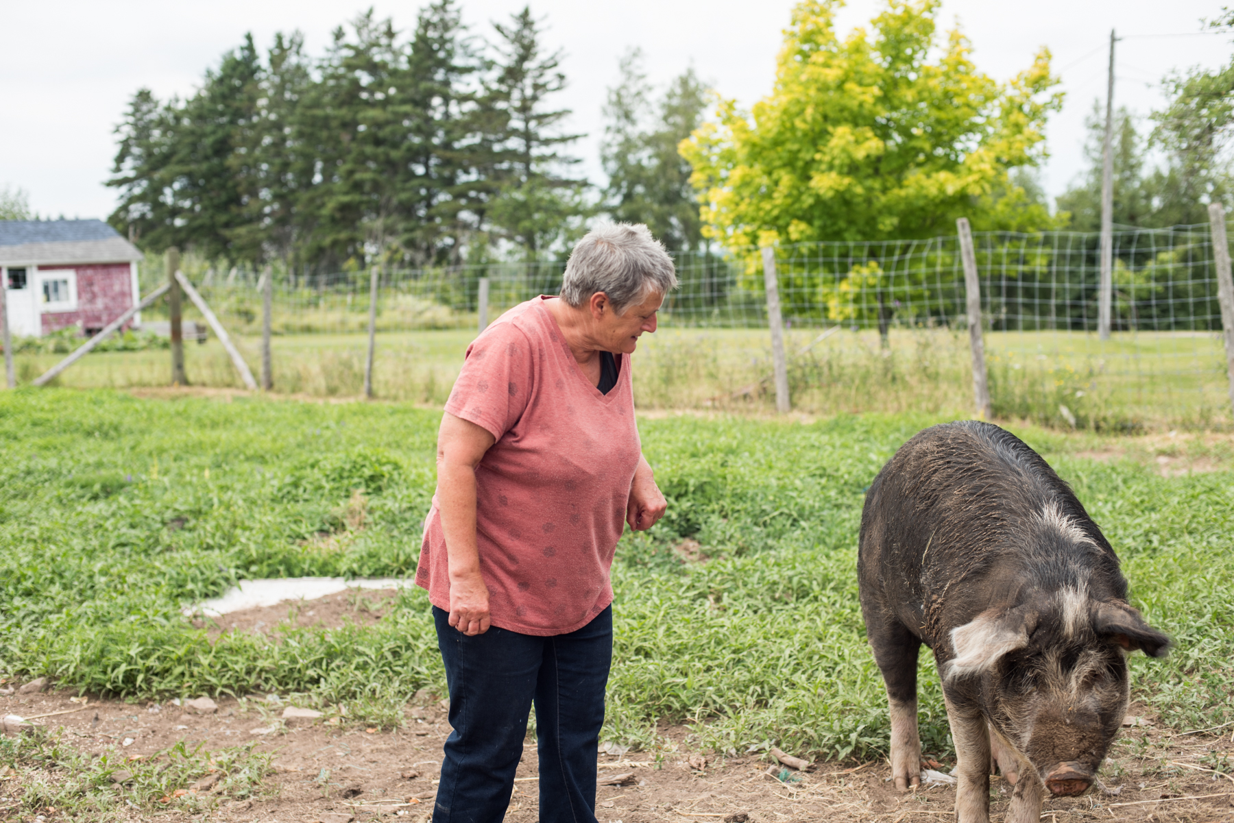 La Ferme Marcel Goguen  - Récolte de Chez Nous - Really Local Harvest