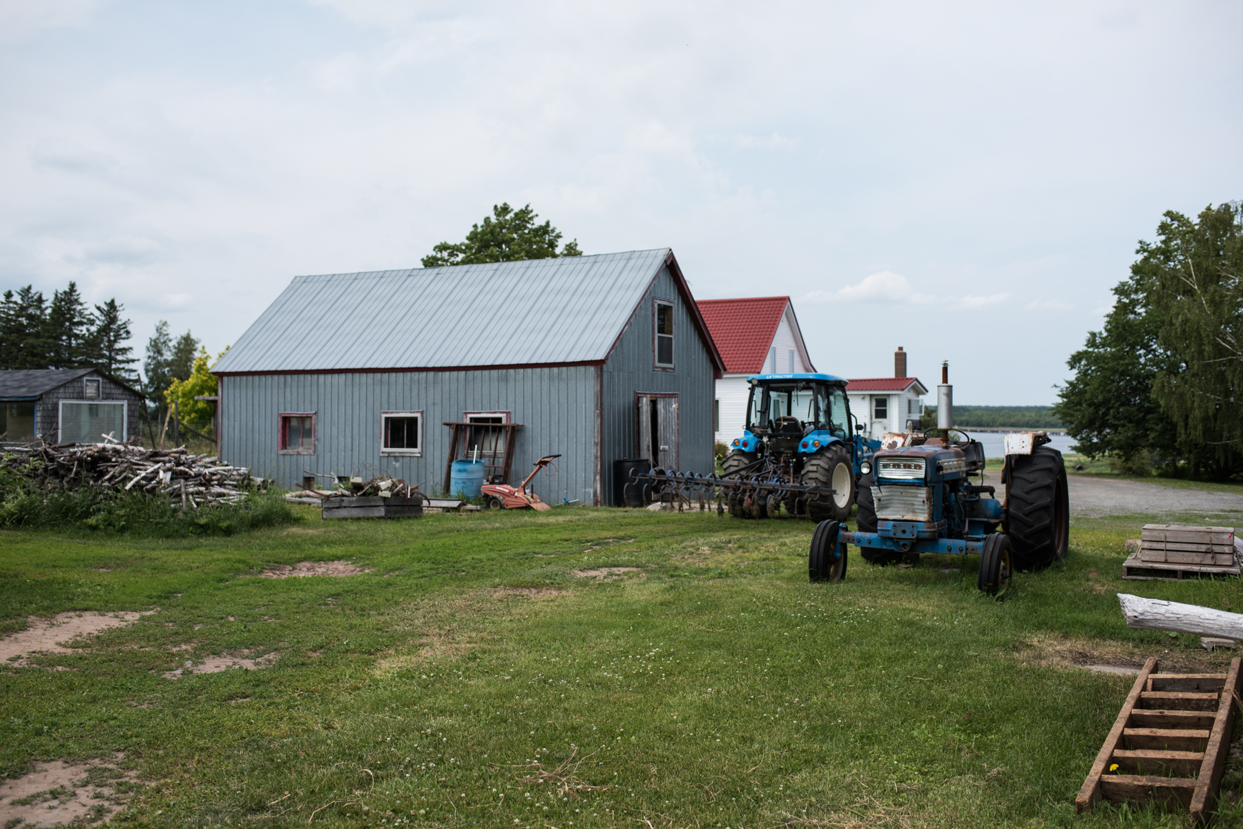 Copy of La Ferme Marcel Goguen  - Récolte de Chez Nous - Really Local Harvest