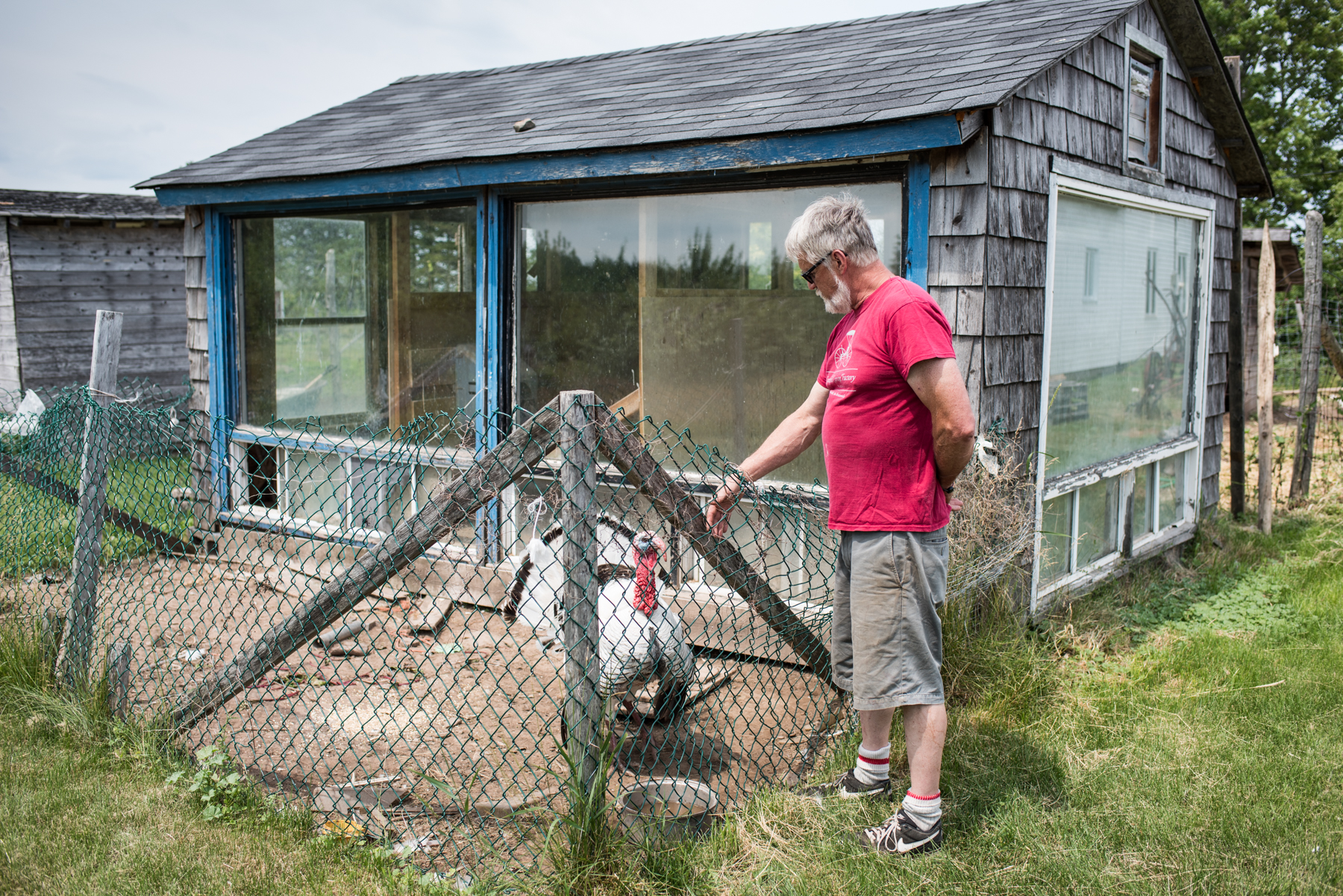 La Ferme Marcel Goguen  - Récolte de Chez Nous - Really Local Harvest