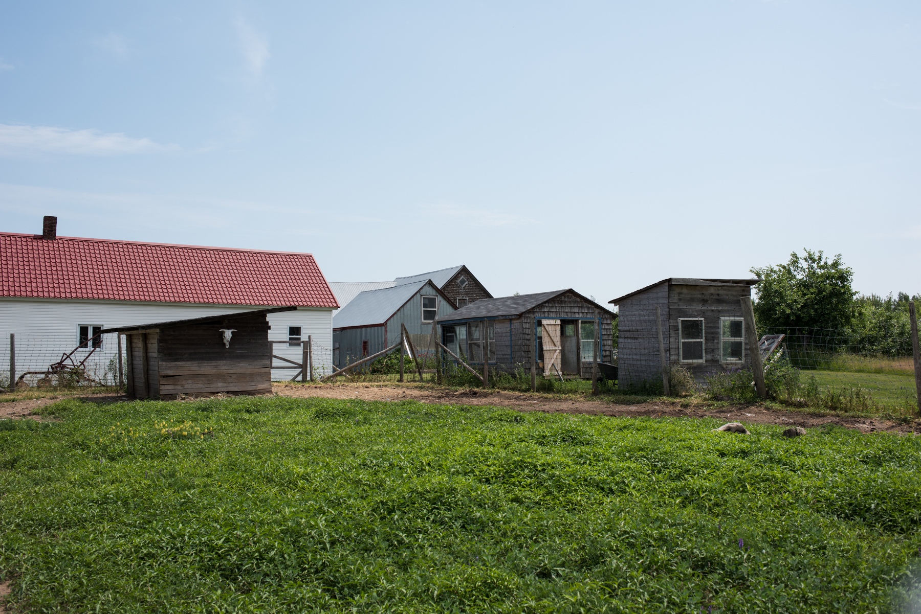 La Ferme Marcel Goguen  - Récolte de Chez Nous - Really Local Harvest