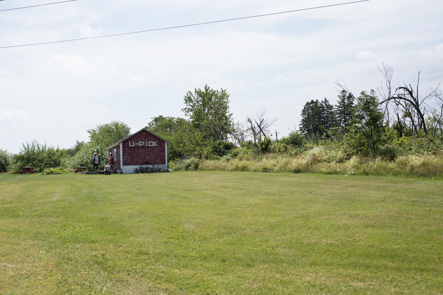 La Ferme Marcel Goguen  - Récolte de Chez Nous - Really Local Harvest