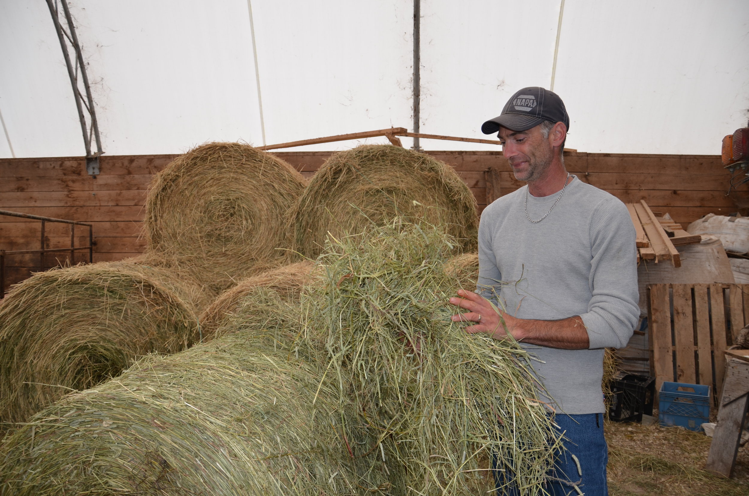 Copy of Springbrook Farm - Really Local Harvest - Récolte de Chez Nous