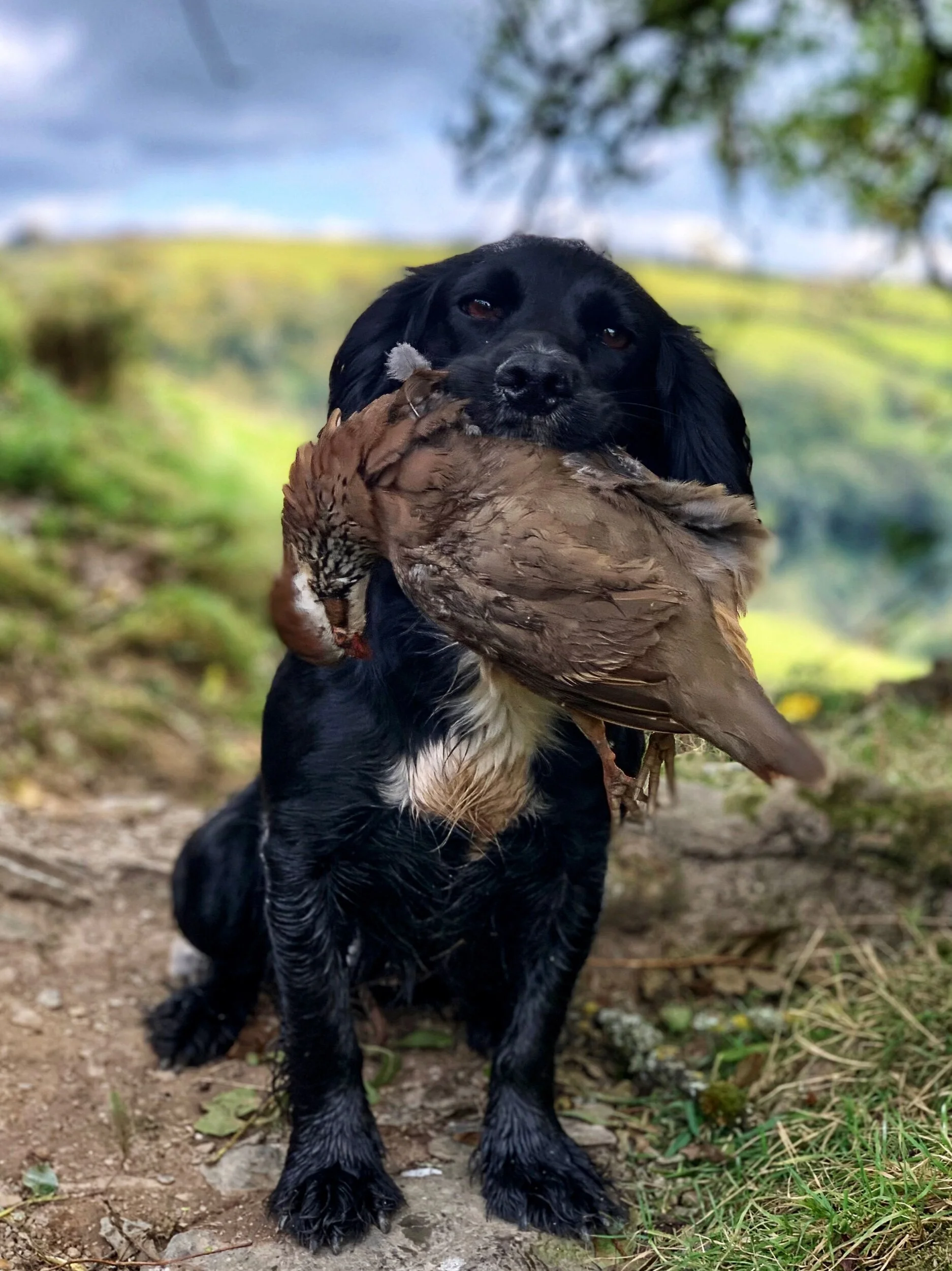 Growing up, old socks, bedtime kisses and change.