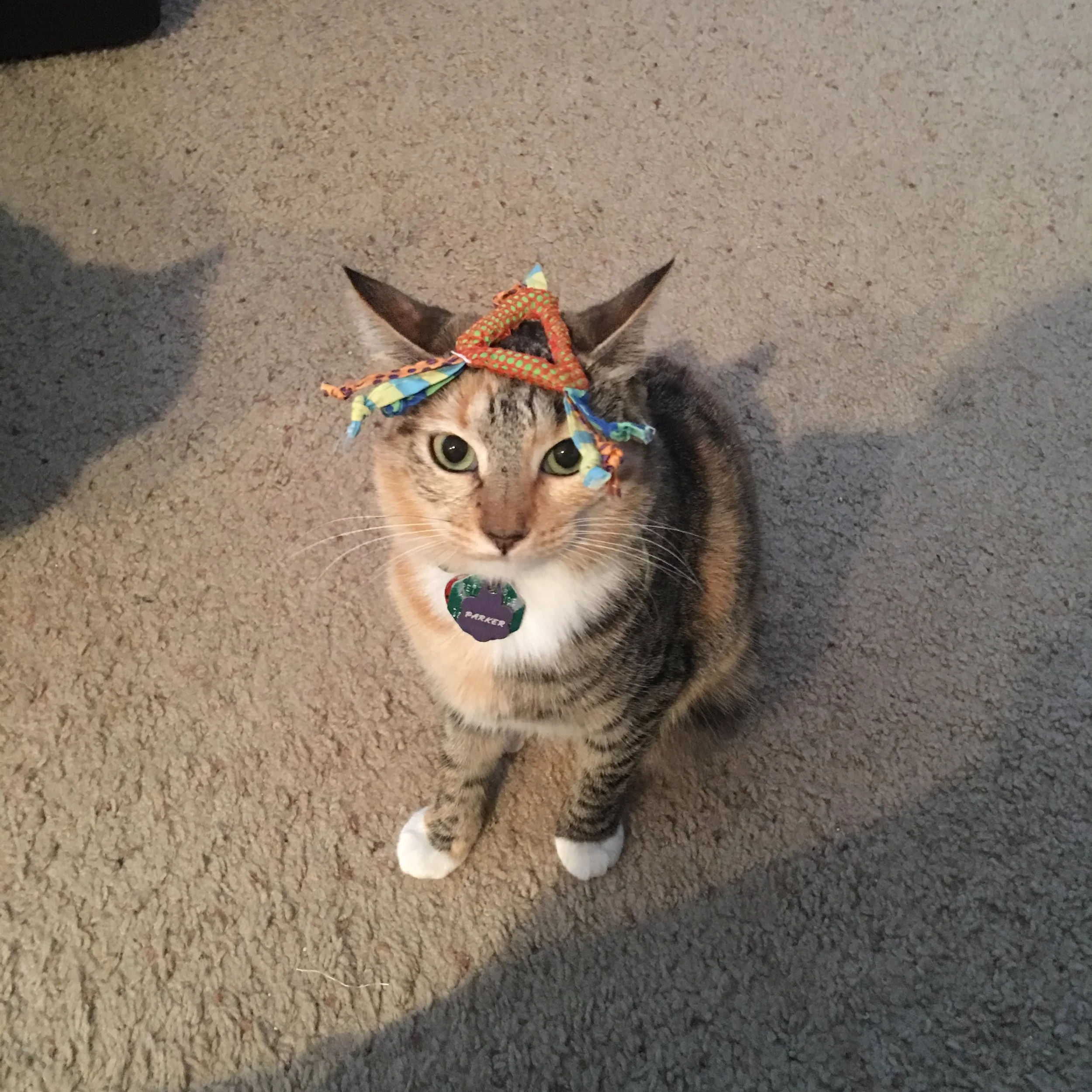 Who should you tell about this uncommon allergy?