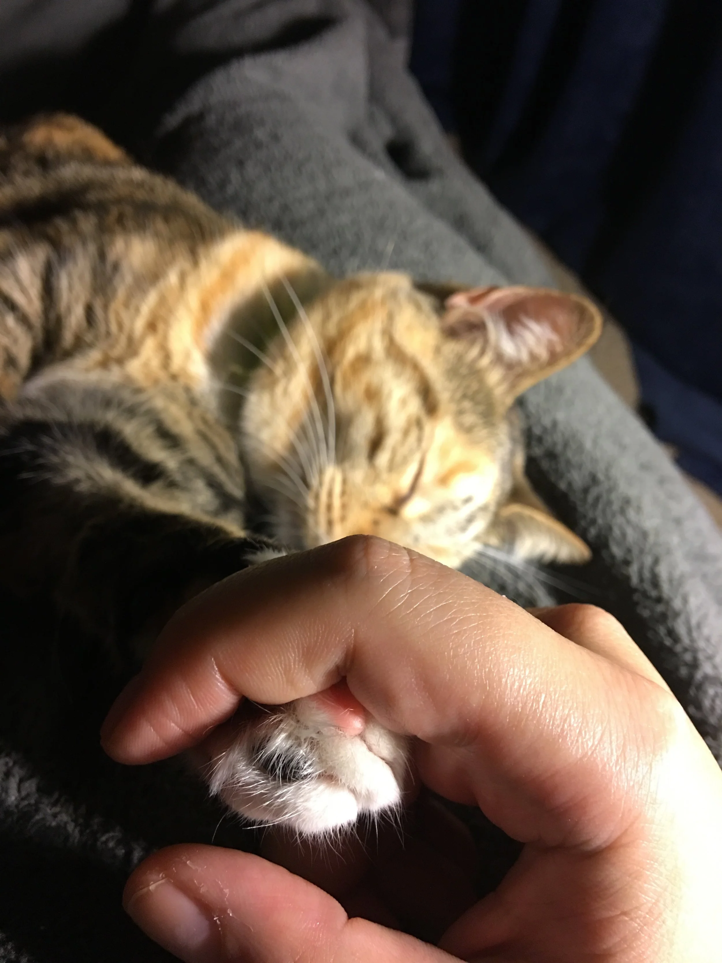 What are Bad Brain Days?