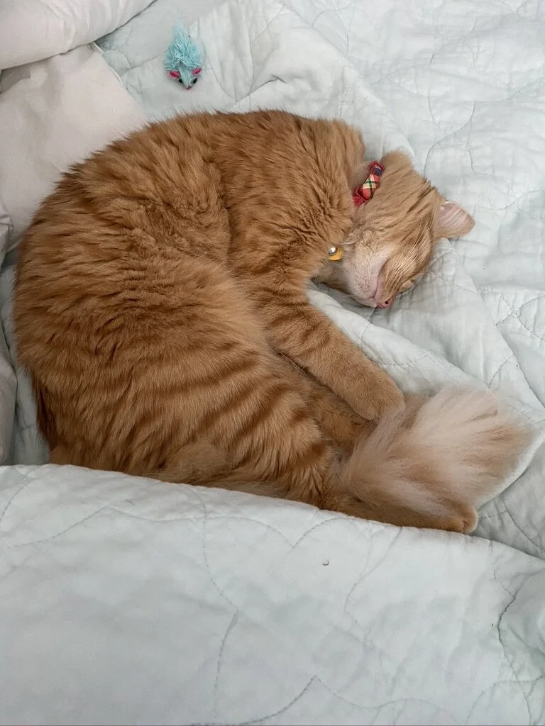 It's been a minute...