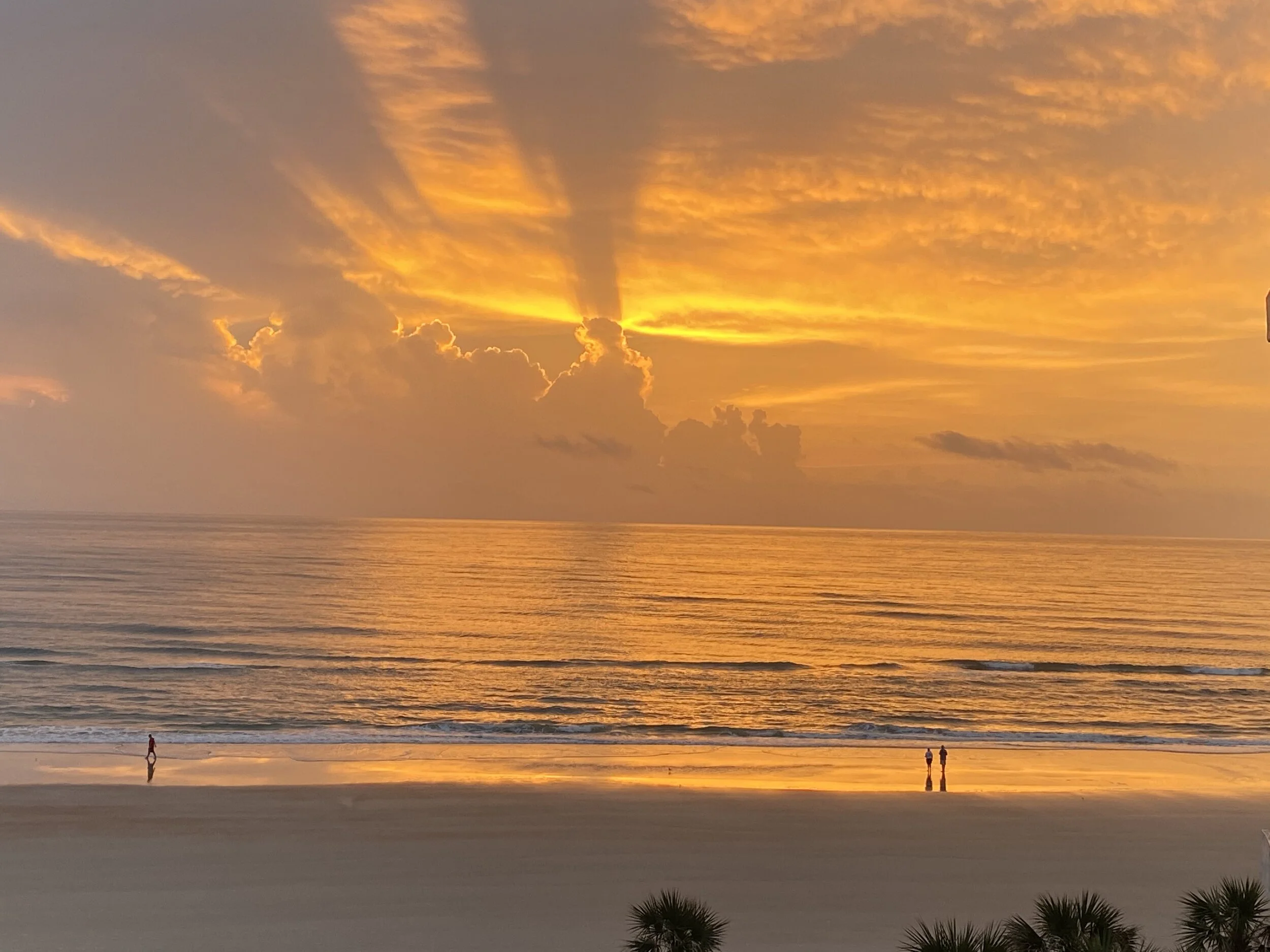 Tarot, Cats, and Glycerin-Free