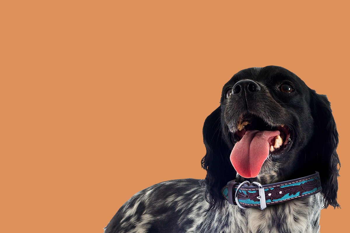 header3.jpg