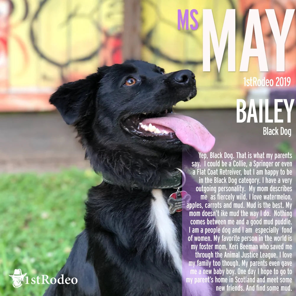 Bailey Version E.jpg