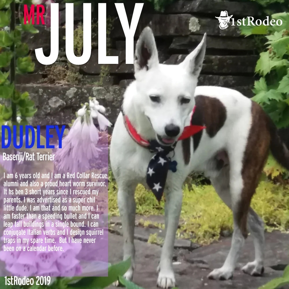 M. July.jpg