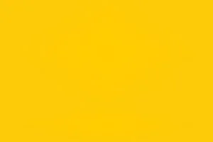 yellow bckgrnd.jpg